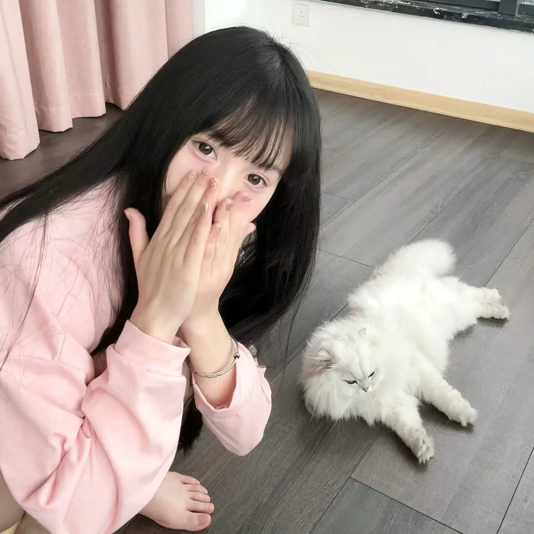 探戈情未了